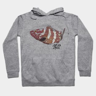 Nassau Grouper for light shirts Hoodie